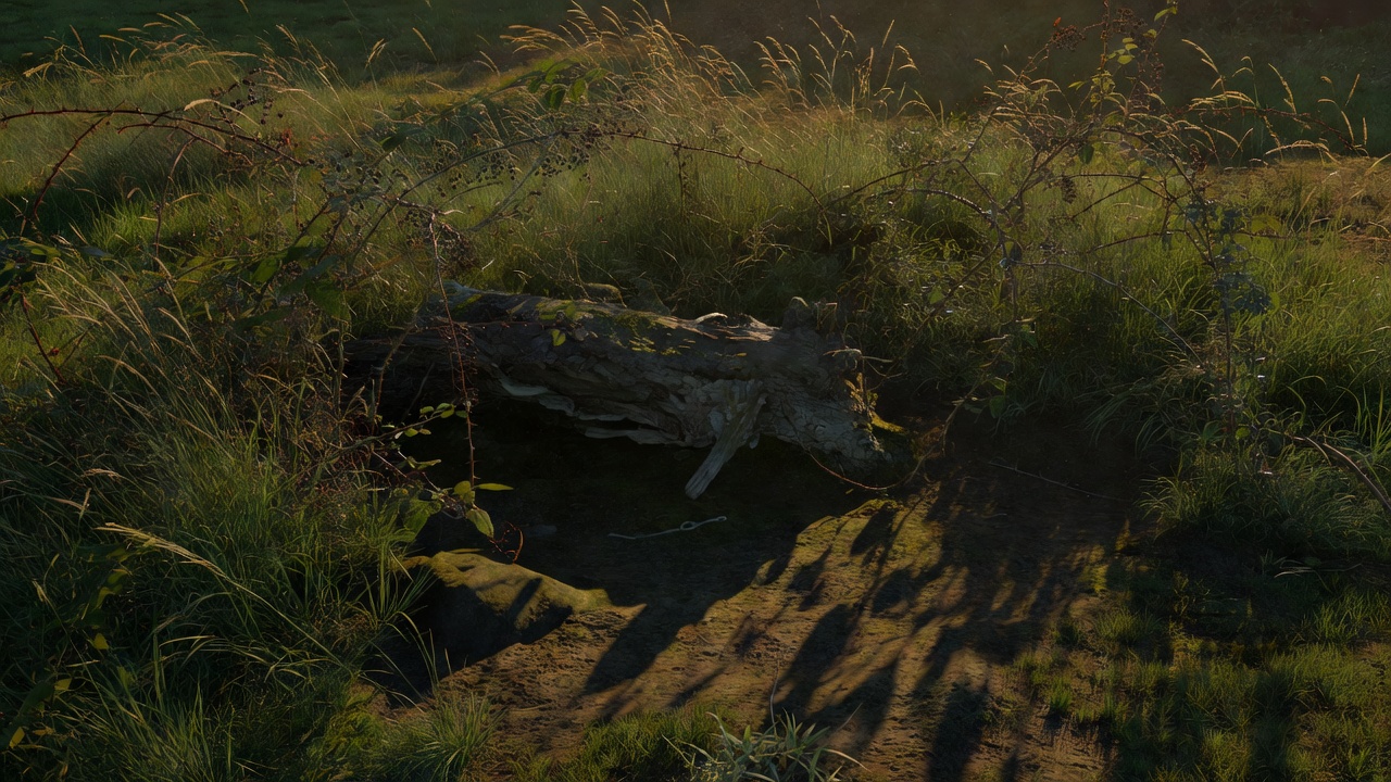 An overgrown garden corner with long grass, bramble and a dead log in evening light, deep shadows across the ground
